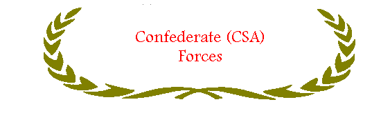 CSA armed forces