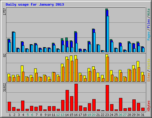 Daily usage for January 2013