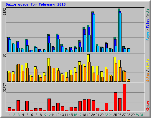 Daily usage for February 2013
