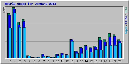 Hourly usage for January 2013
